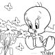 Coloring book tweety bird